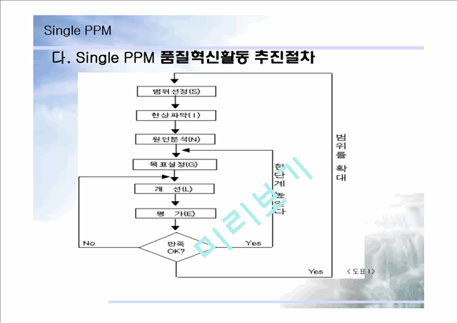 SINGLE PPM   (10 )